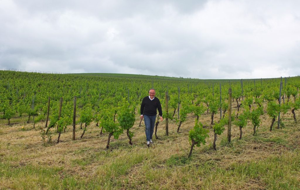 Centopassi – Wein vom Land der sizilianischen Mafia