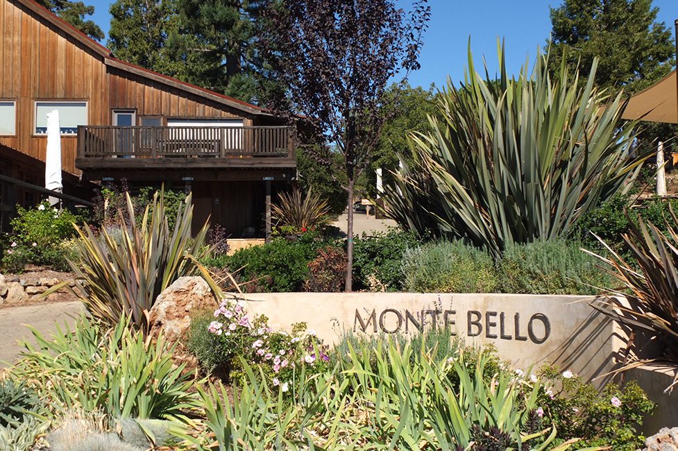 Ridge Monte Bello – Cool Climate California