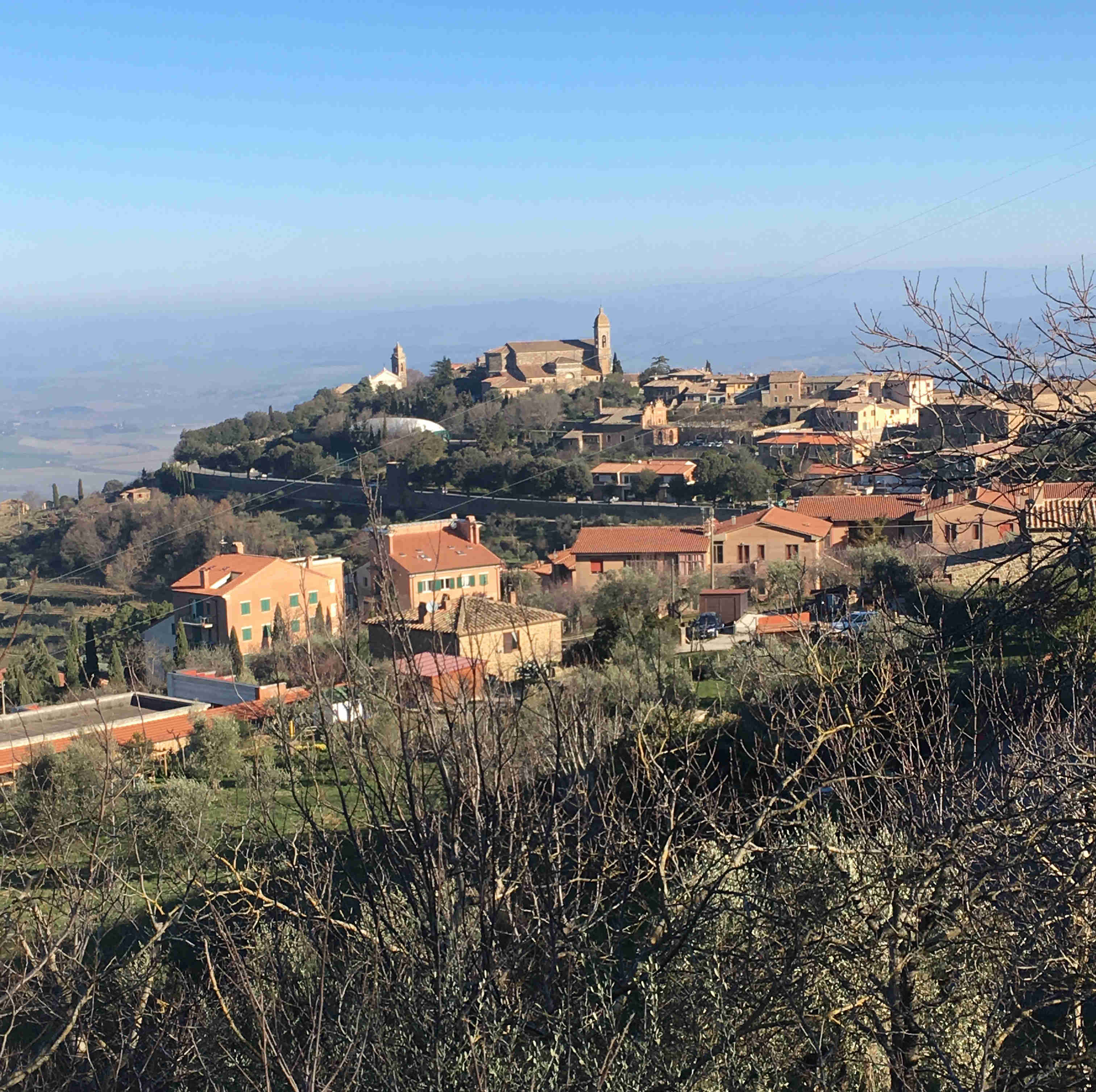 Auf einem Hügel thront die Stadt Montalcino © Daniela Dejnega