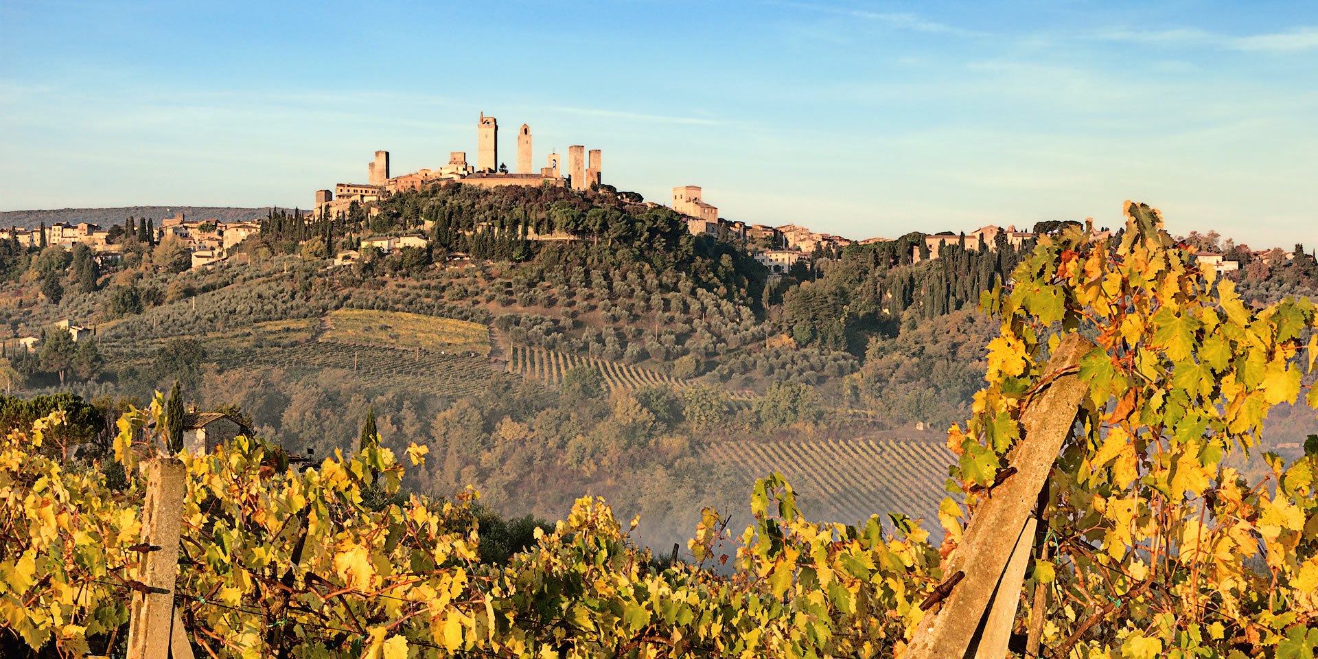 San Gimignano © Andrea Migliorini Associazione Pro Loco San Gimignano