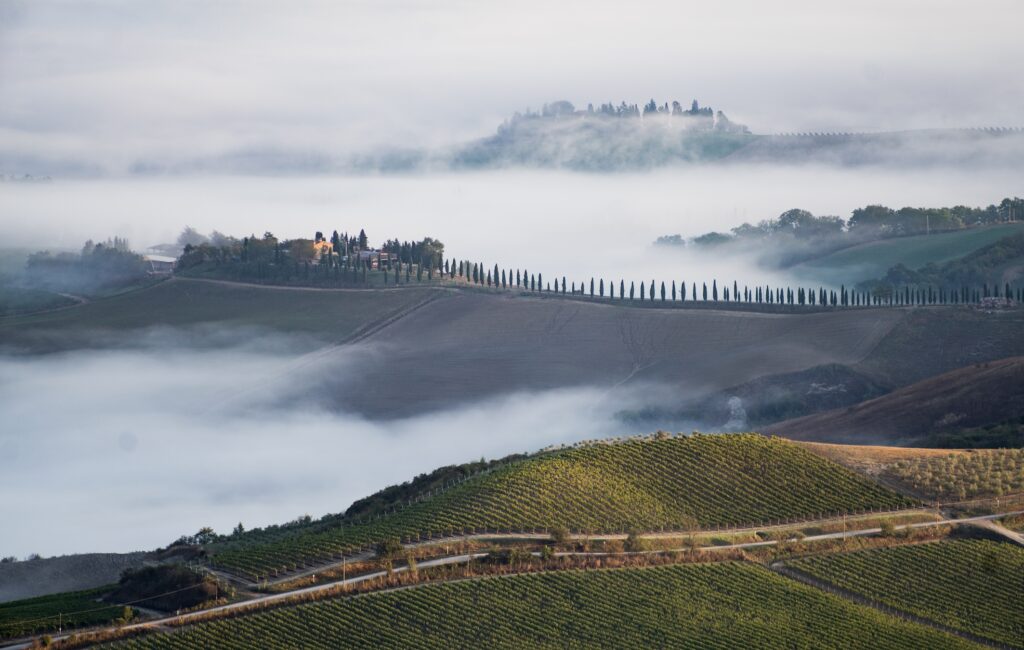 Benvenuto Brunello! Wie gut ist 2021?