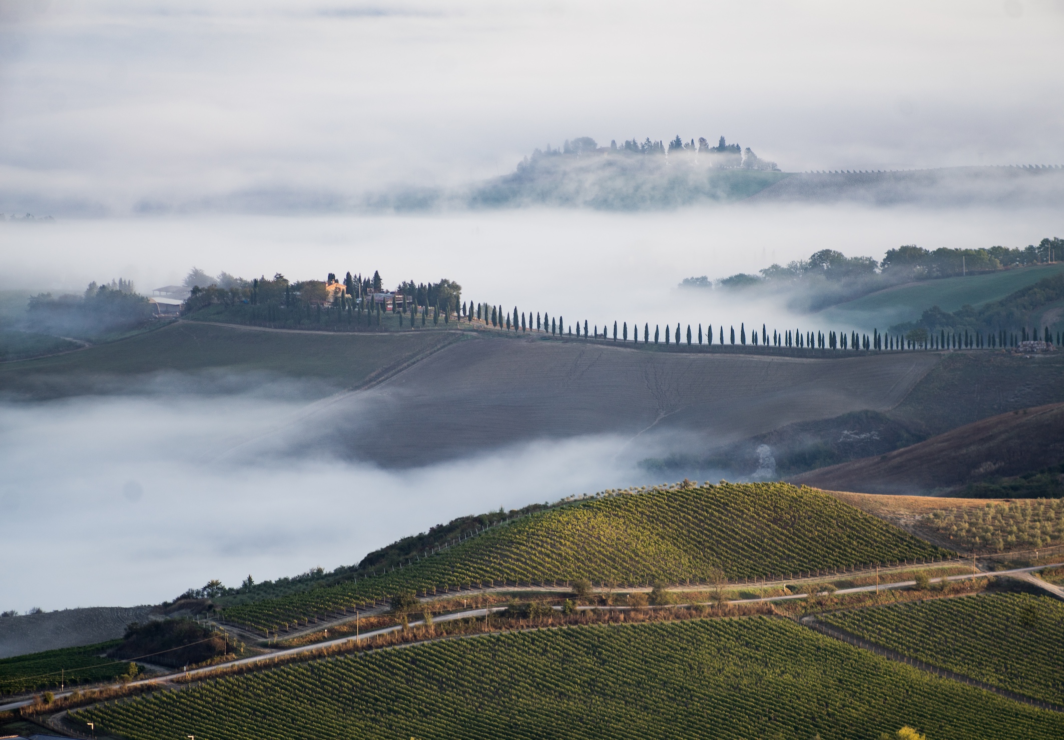 © Consorzio Brunello di Montalcino
